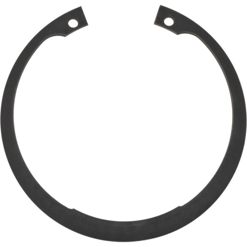 Autopart International Wheel Brng. Retainer 1490324715