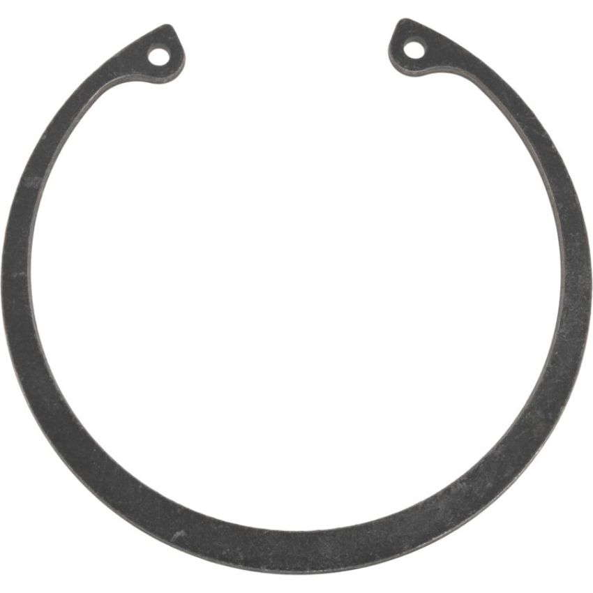 Autopart International Wheel Brng. Retainer 1490324717