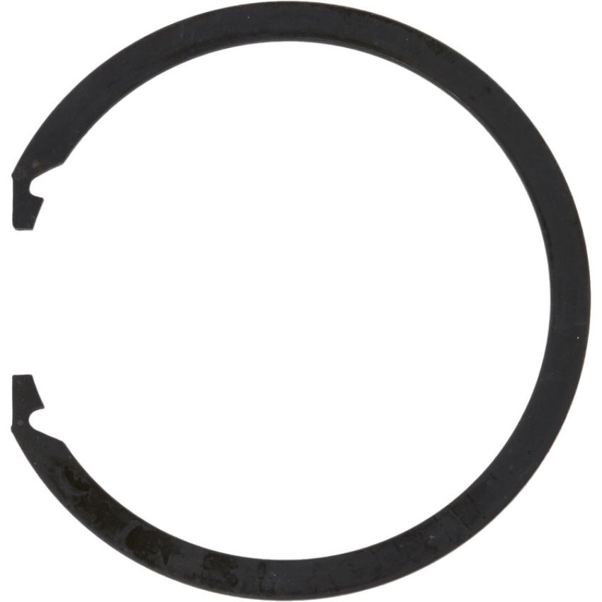 Autopart International Wheel Brng. Retainer 1490326305