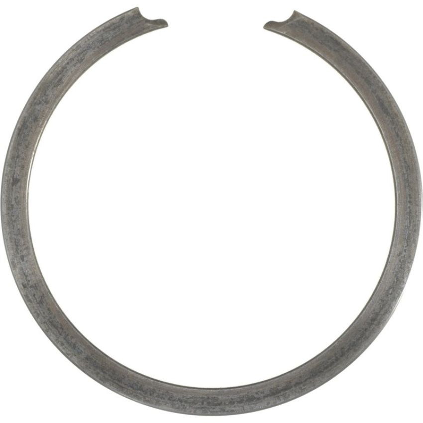 Autopart International Wheel Brng. Retainer 1490326308