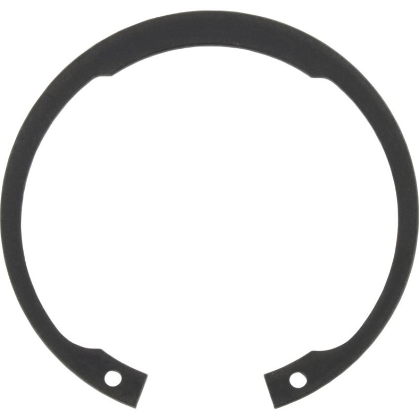 Autopart International Wheel Brng. Retainer 1490326320