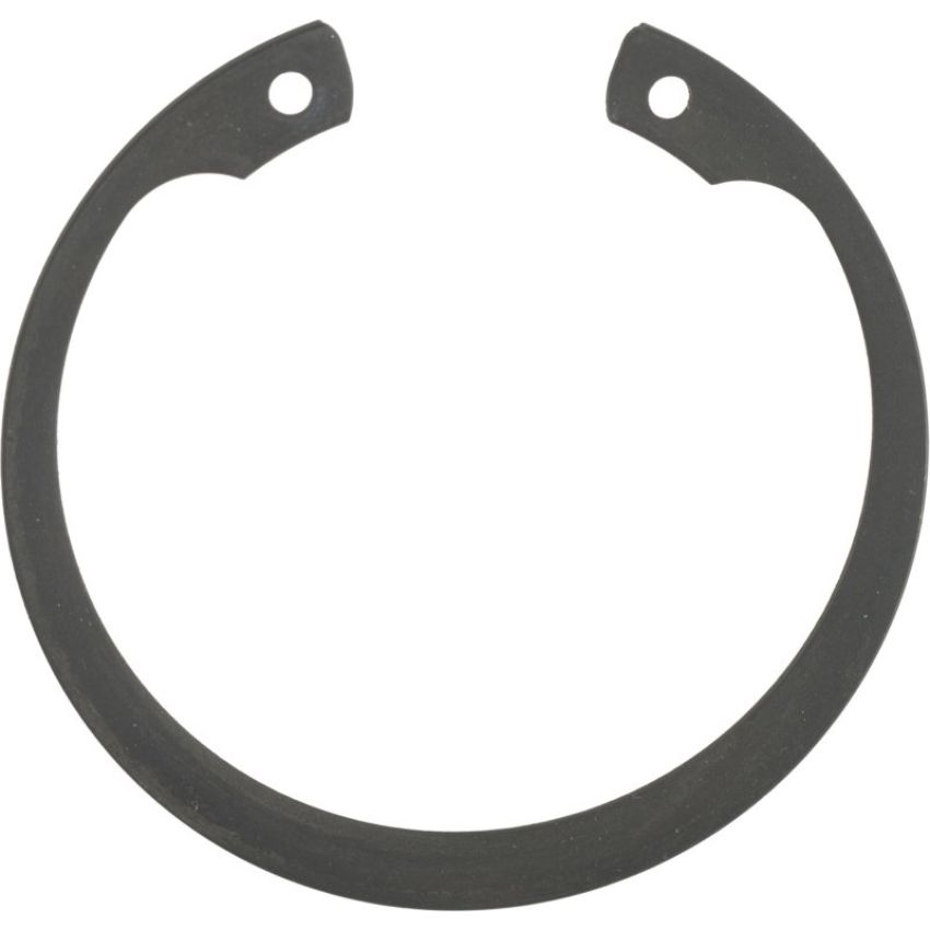 Autopart International Wheel Brng. Retainer 1490326324