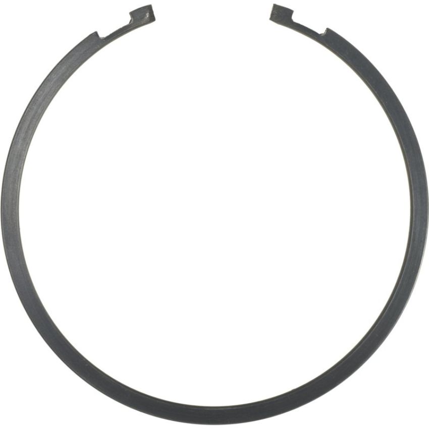 Autopart International Wheel Brng. Retainer 1490507829