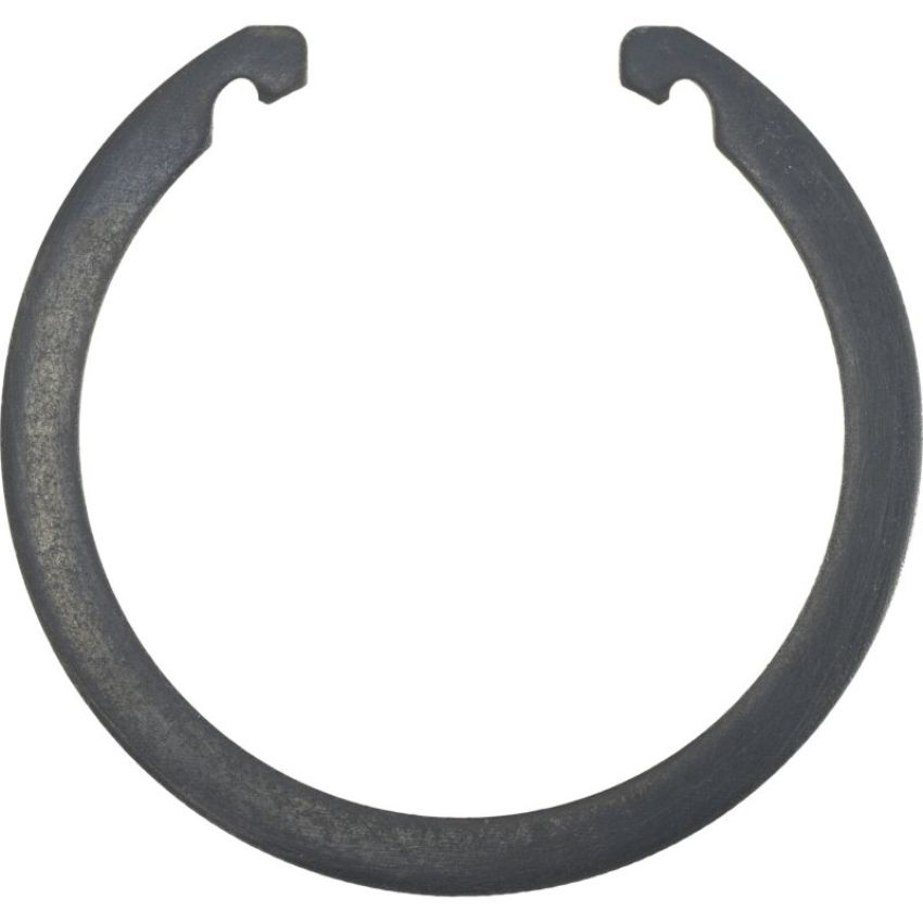 Autopart International Wheel Brng. Retainer 1490507835
