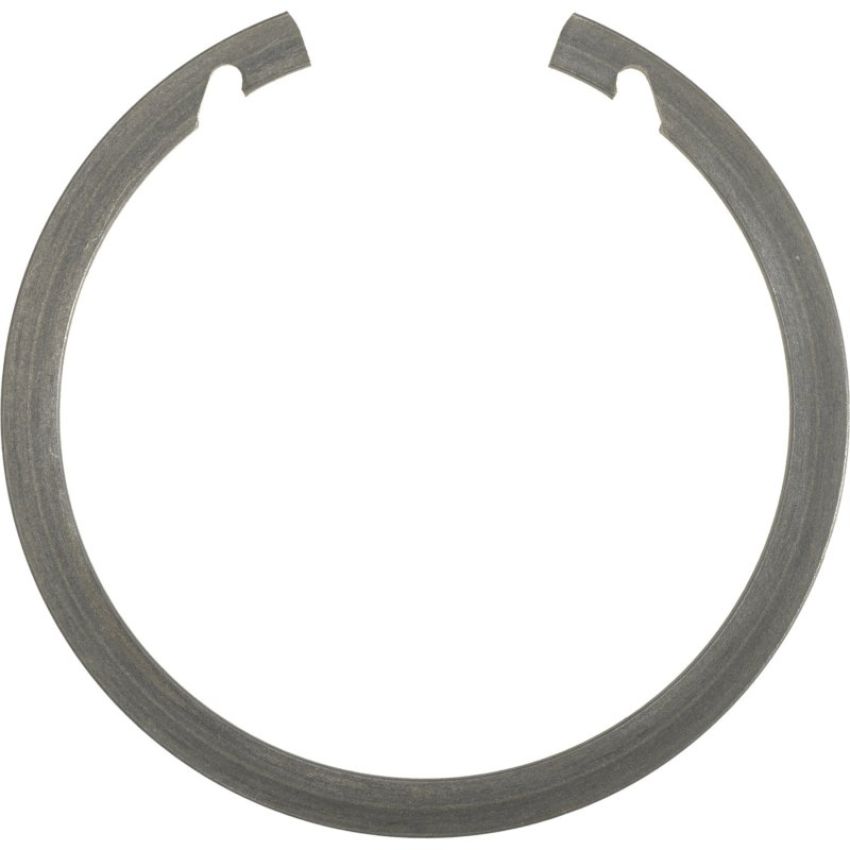 Autopart International Wheel Brng. Retainer 1490507836