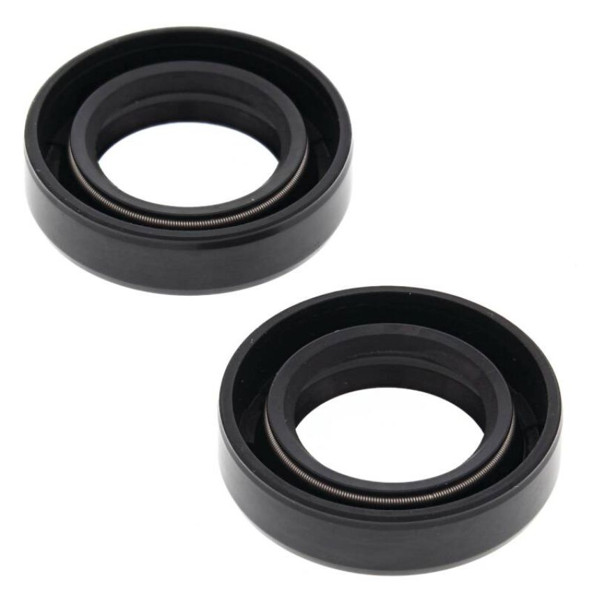 Vertex Pistons 55156 Vertex Gaskets 76-83 Moto Ski Spirit FC/1 Oil Seal Kit