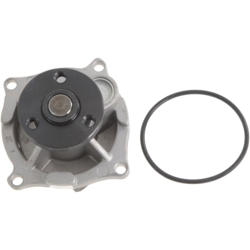 Autopart International Water Pump 160060381