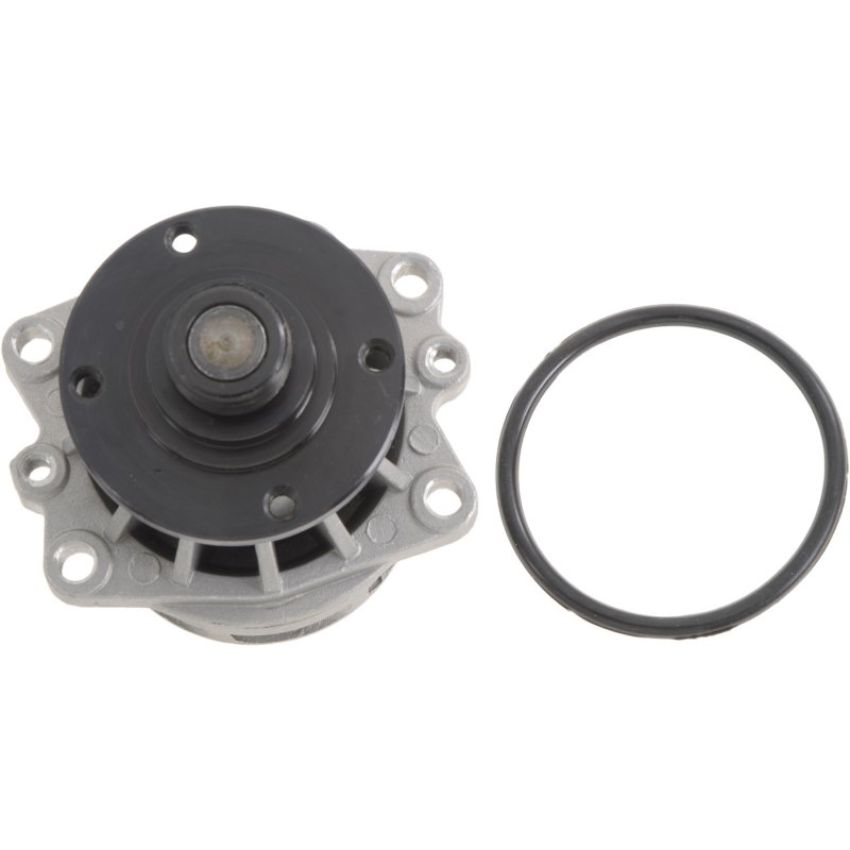 Autopart International Water Pump 160066417