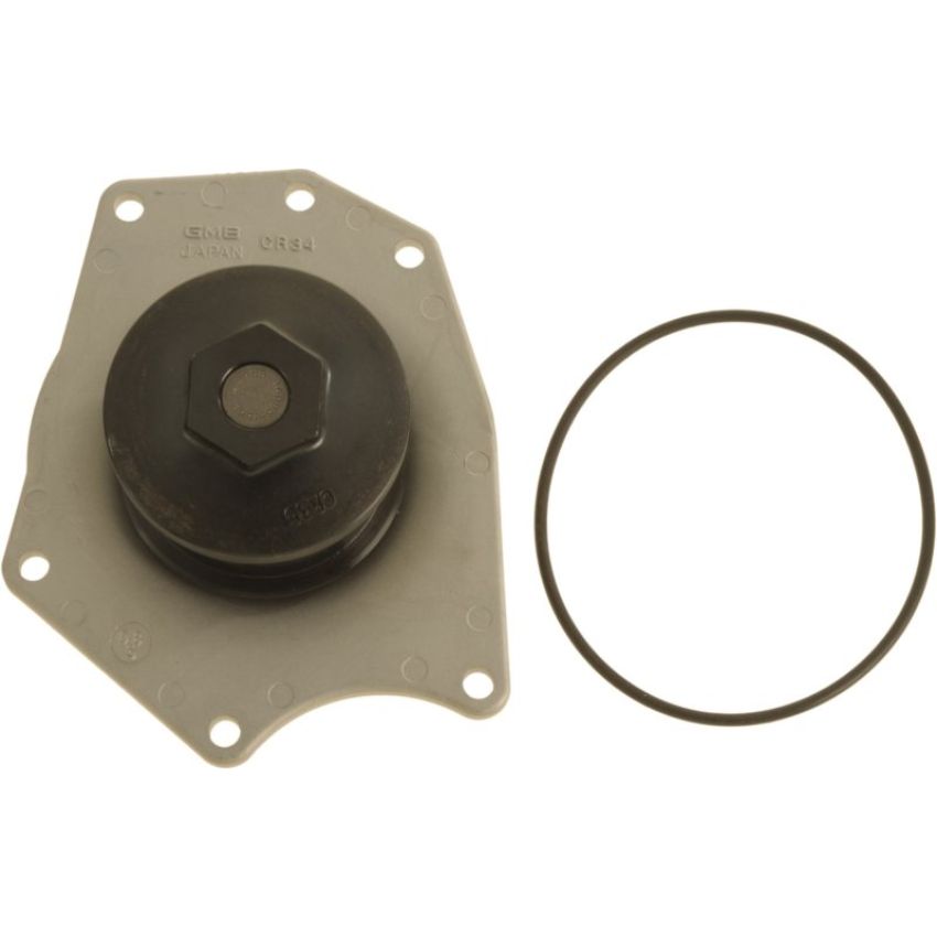 Autopart International Water Pump 160093999