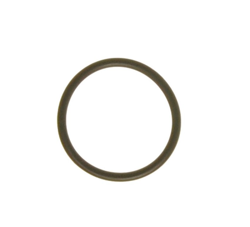 Ajusa 16021900 O'Ring