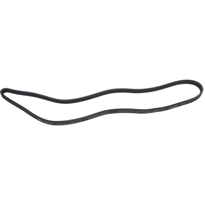 Autopart International Drive Belt 160224403