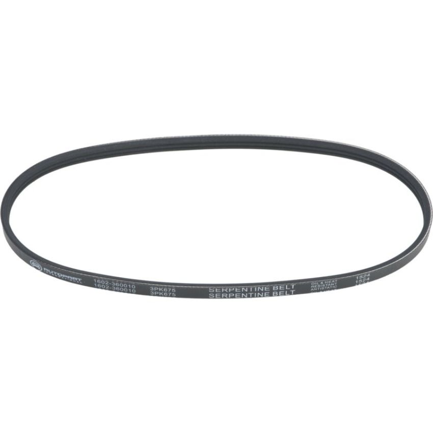 Autopart International Drive Belt 1602360010