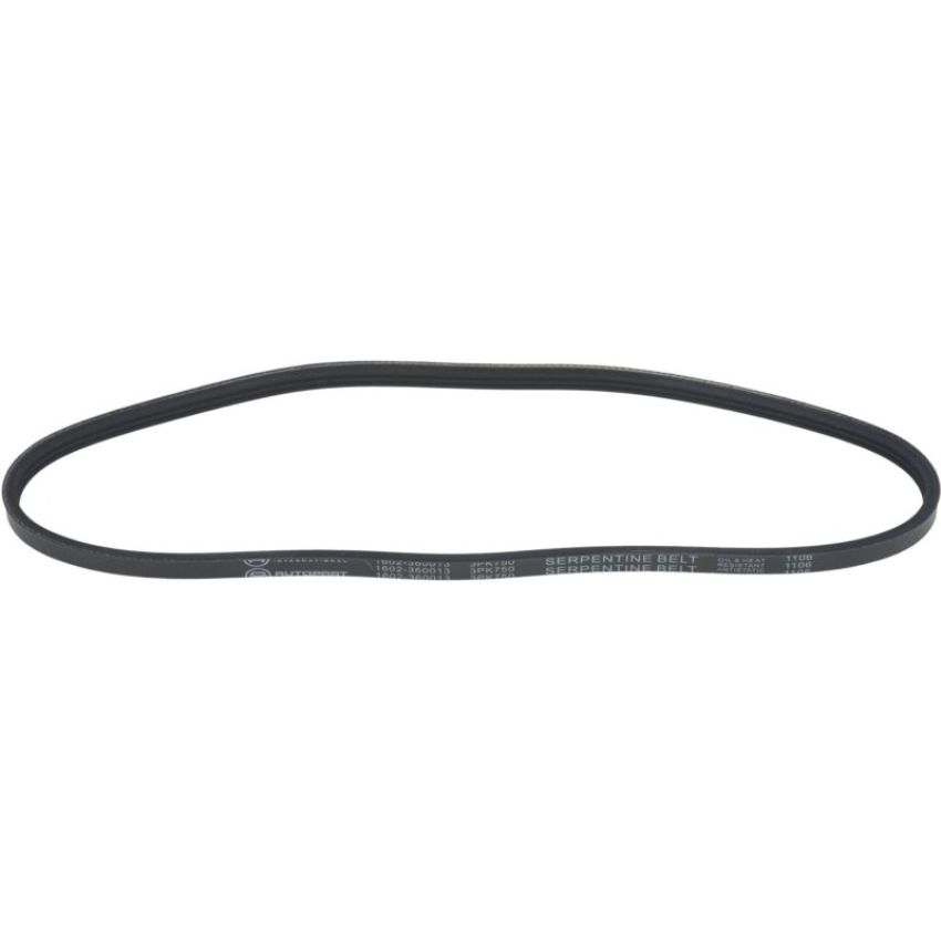 Autopart International Drive Belt 1602360013
