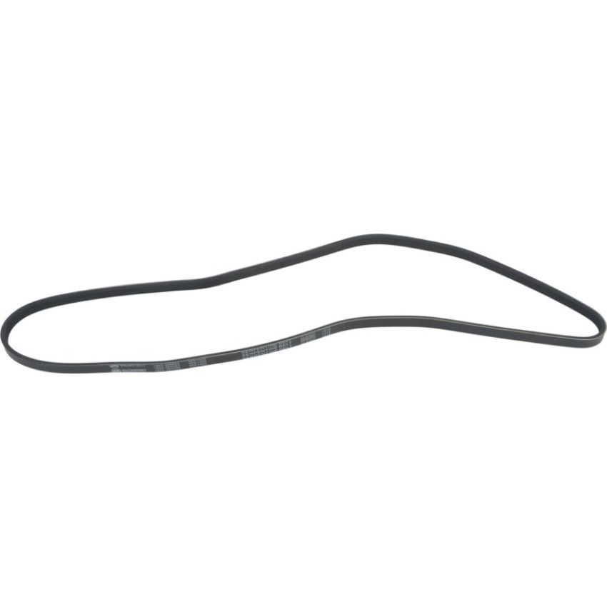 Autopart International Drive Belt 1602360055