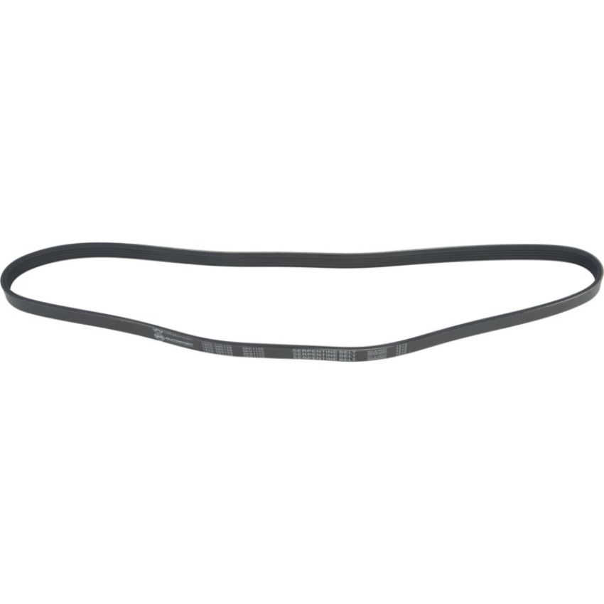 Autopart International Drive Belt 1602360128