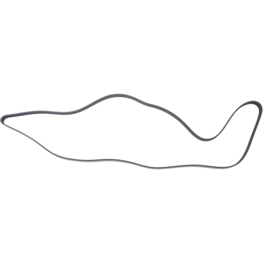 Autopart International Drive Belt 1602360318
