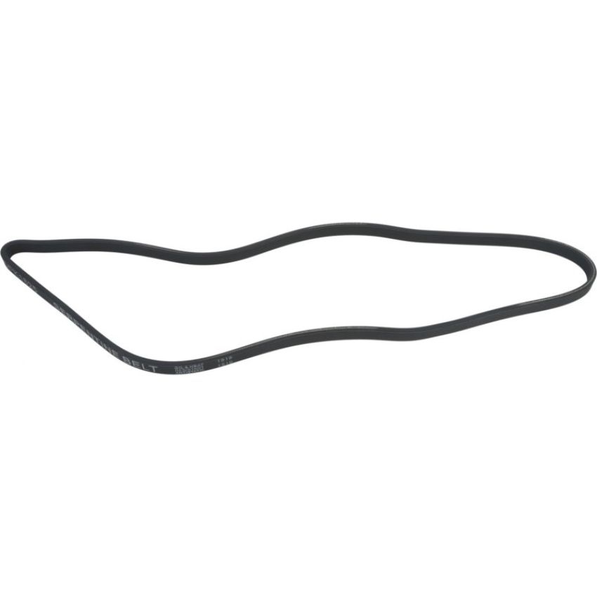Autopart International Drive Belt 160249919