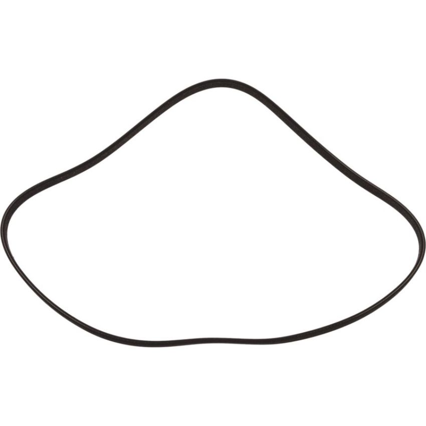 Autopart International Drive Belt 1602595632
