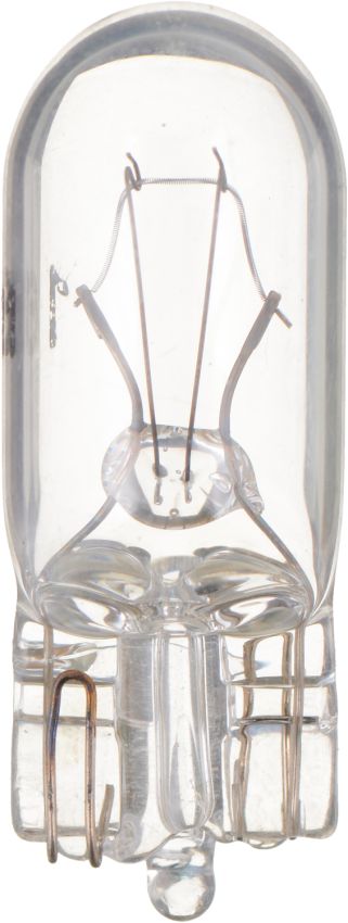 Philips 161CP Philips Standard Minature 161 Pack of 10