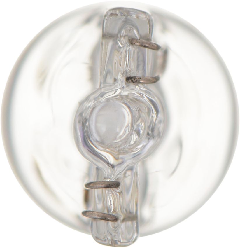Philips 161CP Philips Standard Minature 161 Pack of 10