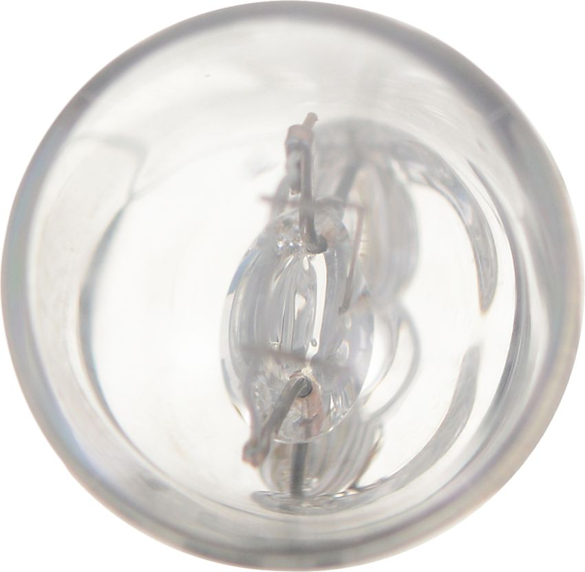 Philips 161CP Philips Standard Minature 161 Pack of 10