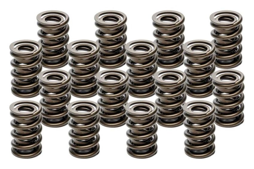 PAC RACING SPRINGS PACPAC-1940-16 Valve Springs - HR Series (16)  1.555 Dual