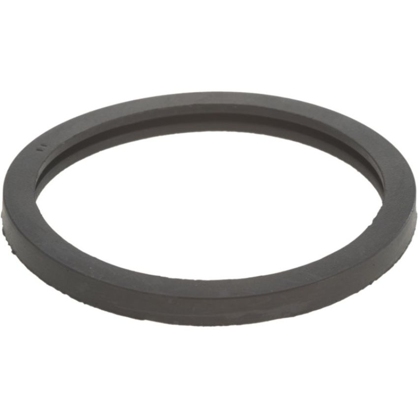 Autopart International Thermostat Gasket 167745064