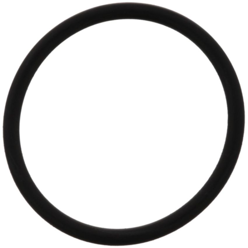Autopart International Thermostat Gasket 167792301