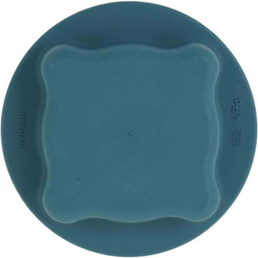 Autopart International Expansion Tank Cap 167871900