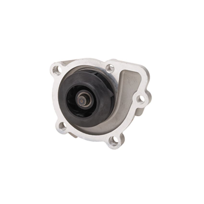 Dayco DP1016 Water Pump