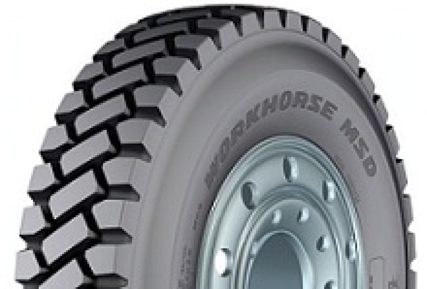 GOODYEAR Workhorse MSD R24.5