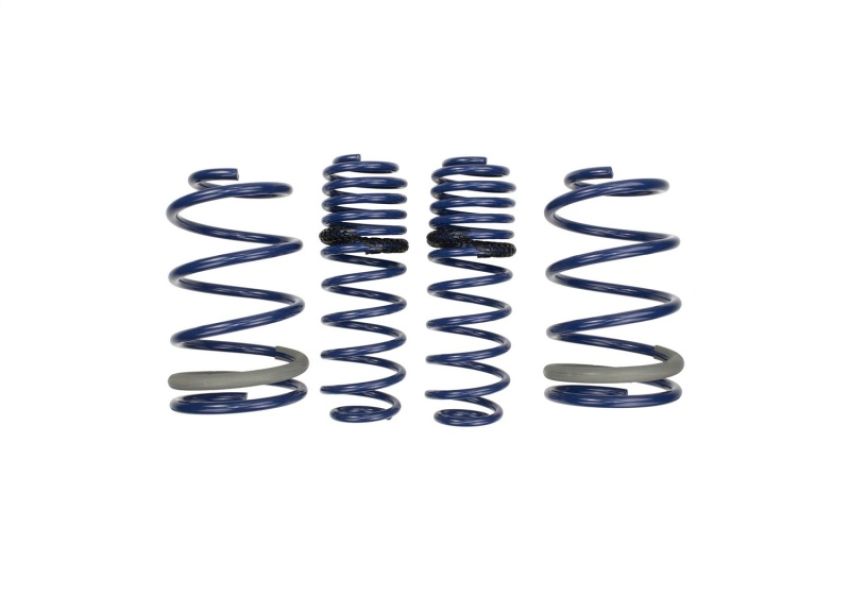 Ford Racing M-5300-PA 2005-2014 Mustang GT Track Lowering Springs