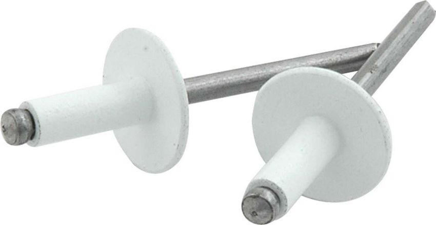 ALLSTAR PERFORMANCE ALL18156 Lg Hd Rivet 250Pk White