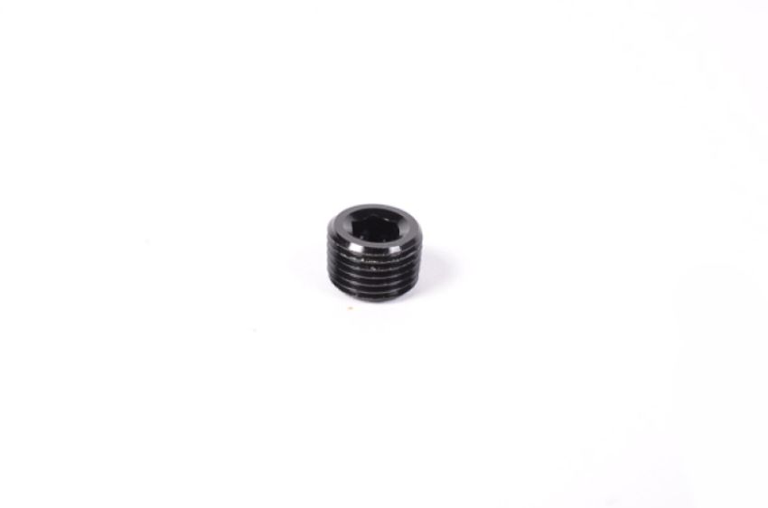 Radium Engineering 14-0172 1/8NPT PLUG