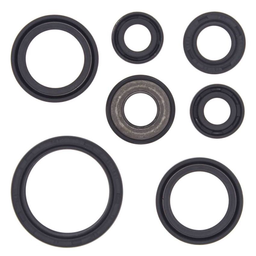 Vertex Pistons 822232 Vertex Gaskets 01-05 Yamaha YFM660R Raptor Oil Seal Kit