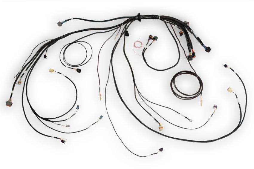 Haltech HT-186500 NEXUS Rebel LS Terminated Harness for ECU