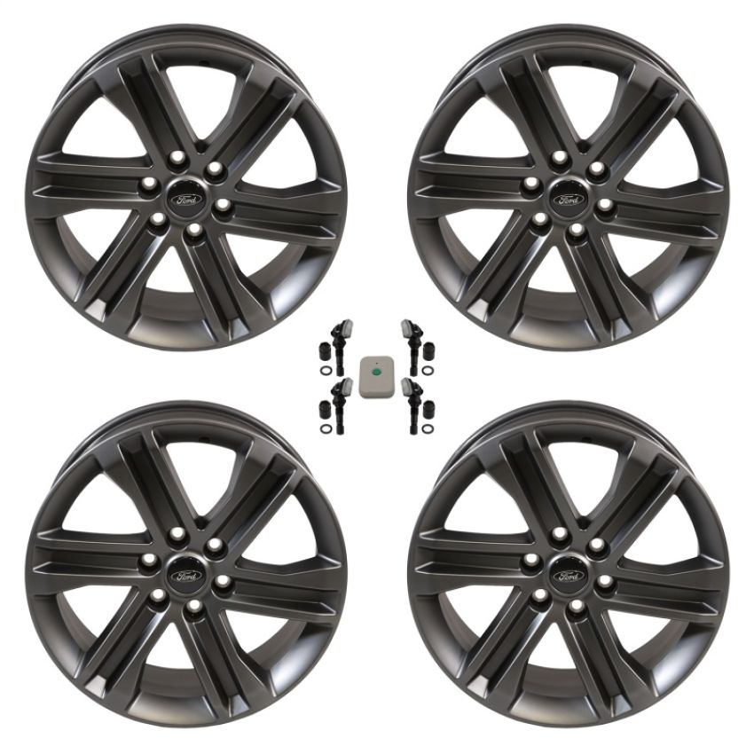 Ford Racing M-1007K-S2085F15 2015-2023 F-150 20