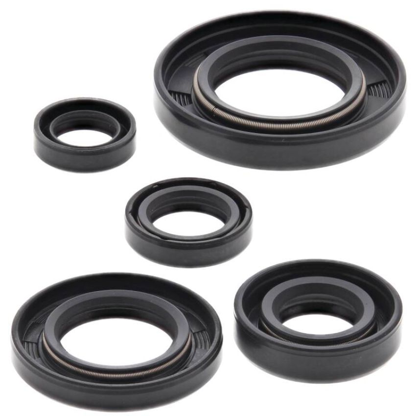 Vertex Pistons 822165 Vertex Gaskets 93-17 Honda XR650L Oil Seal Kit