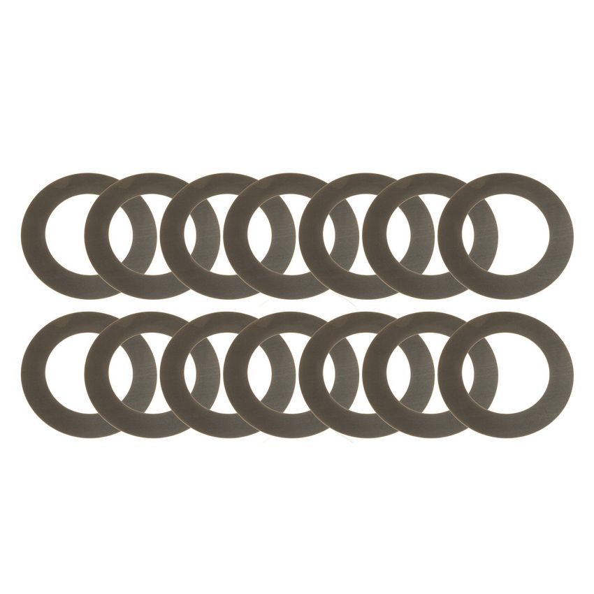 RICHMOND RIC38-0006-1 GM 8.5 Carrier Shims