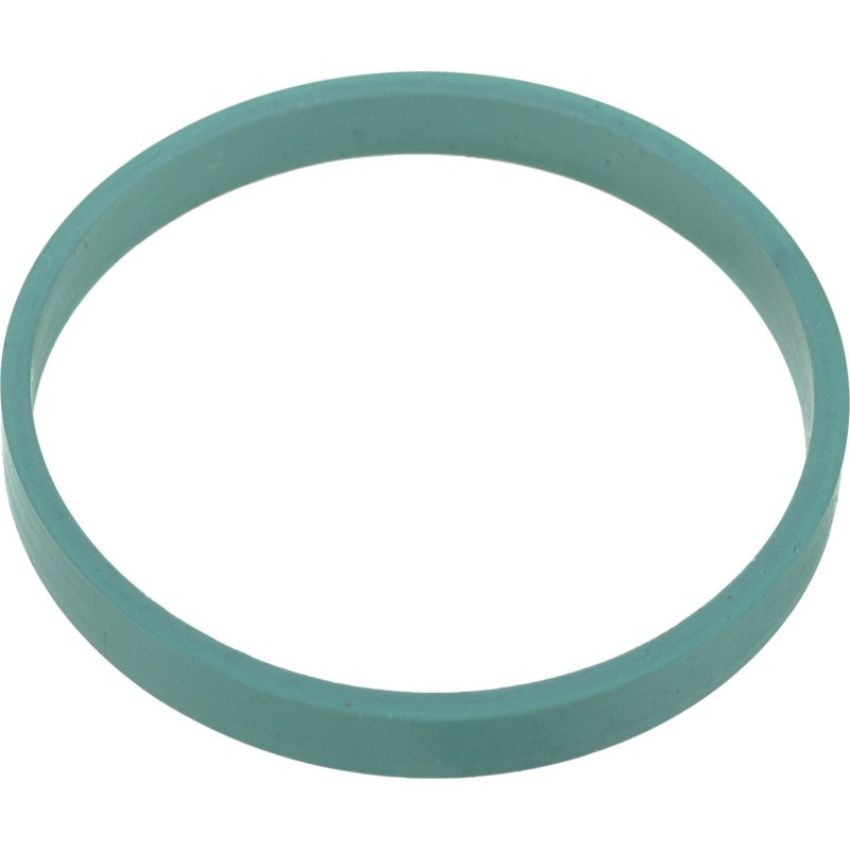 Autopart International Intake Plenum Gasket 2003325948