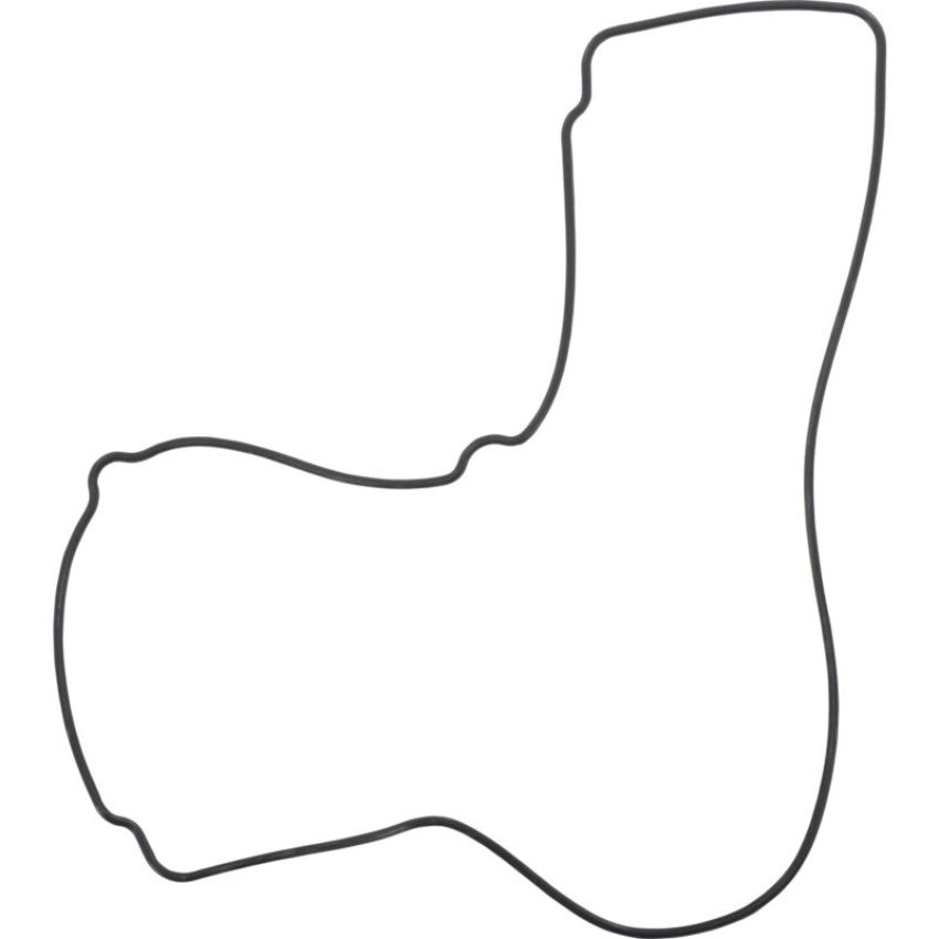 Autopart International Valve Cover Gasket 200448649