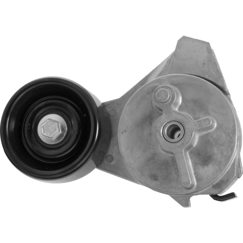 Autopart International Acc. Belt Tensioner Assy 200812828