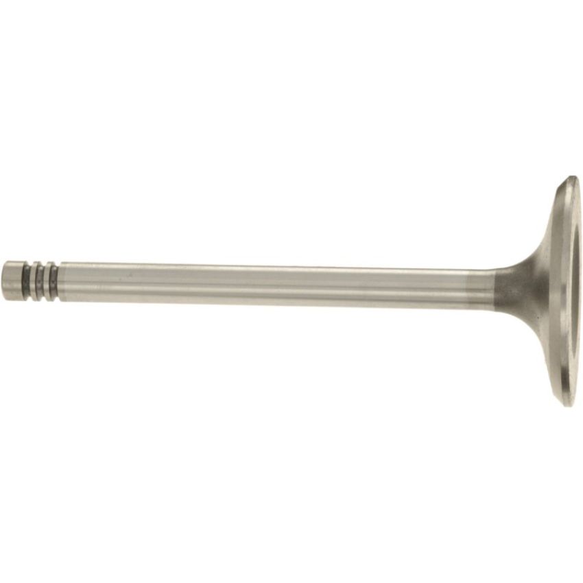 Autopart International Intake Valve 201439703