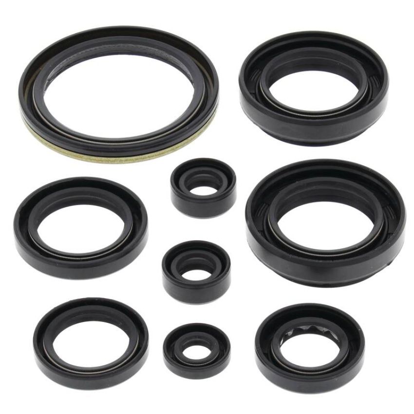 Vertex Pistons 822259 Vertex Gaskets 00-02 Arctic Cat 500 4x4 w/AT Oil Seal Kit