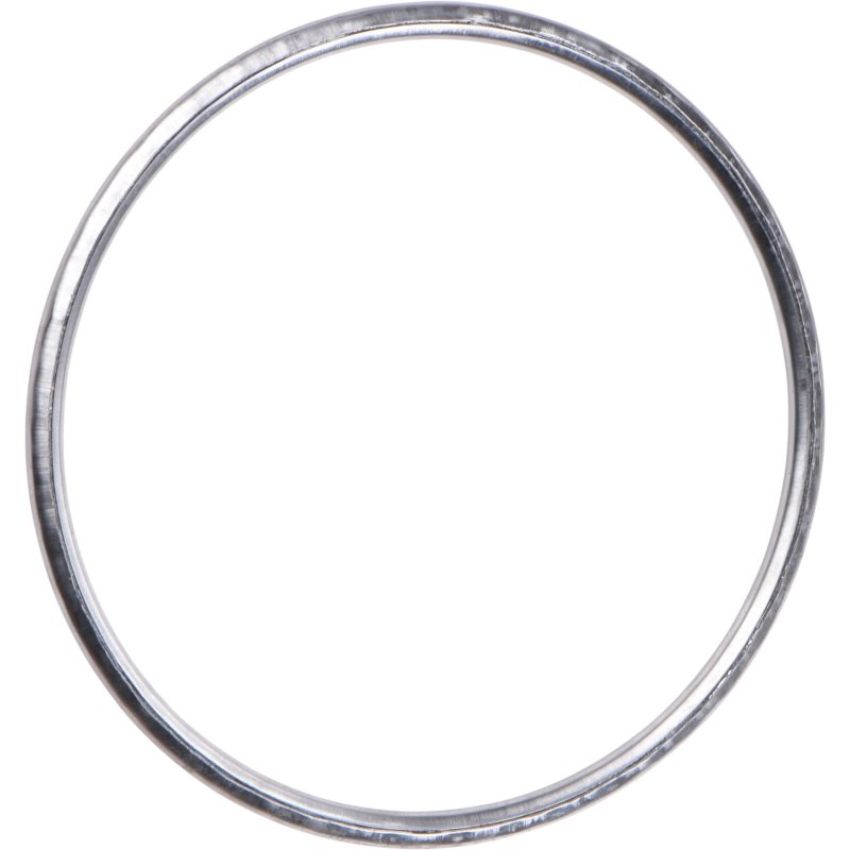 Autopart International Exhaust Pipe Gasket 2107290119