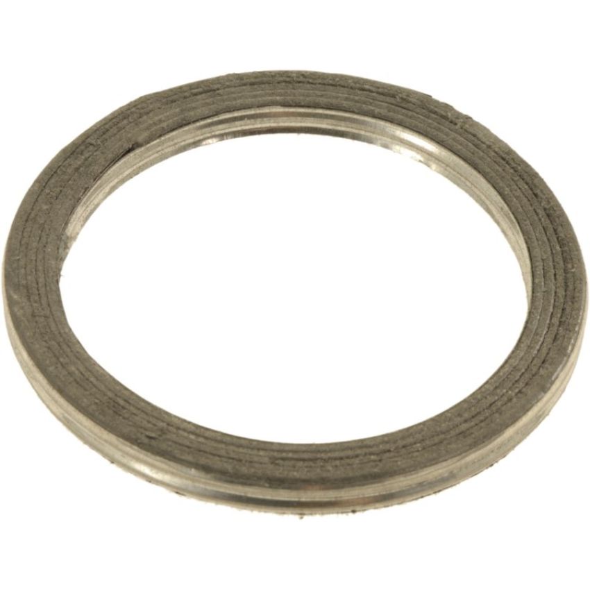 Autopart International Exhaust Pipe Gasket 210754560