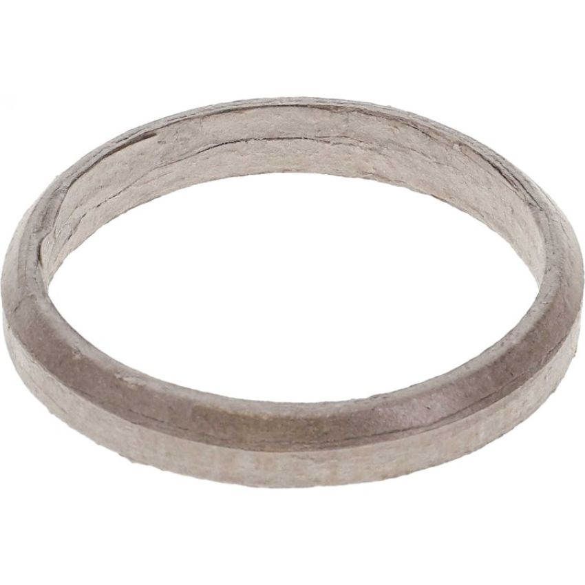 Autopart International Exhaust Pipe Gasket 2107596573