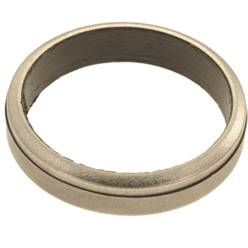 Autopart International Exhaust Pipe Gasket 210761992