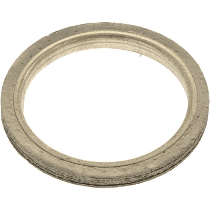 Autopart International Exhaust Pipe Gasket 210773812
