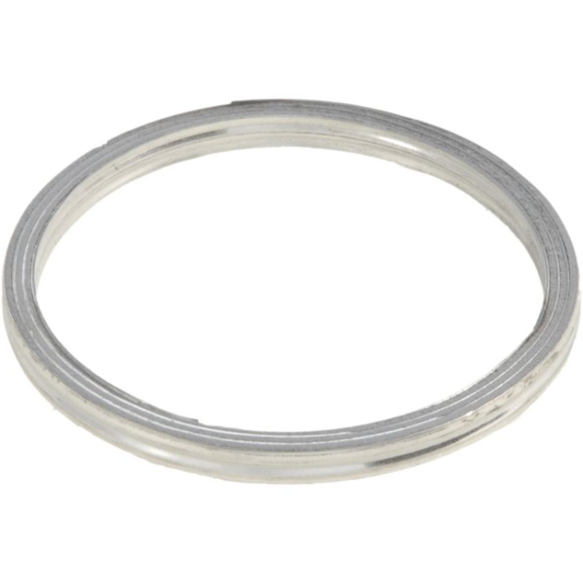 Autopart International Exhaust Pipe Gasket 210784199